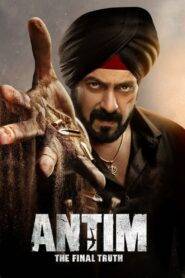 Antim: The Final Truth (2021)