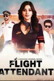 Flight Attendant (2024) Season 1 Complete Hindi