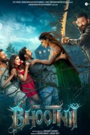 The Bhootnii (2025) Hindi PreHD